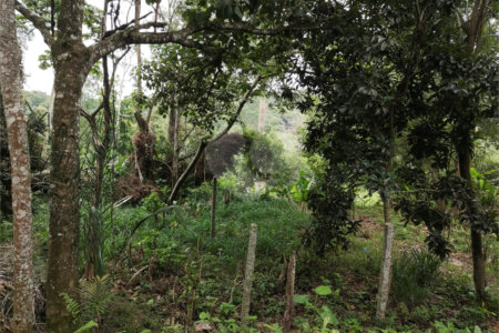 Terreno à venda em Vila Moraes, Mogi das Cruzes, SP