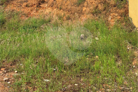 Terreno à venda em Cidade Nova, Bom Jesus dos Perdões, SP