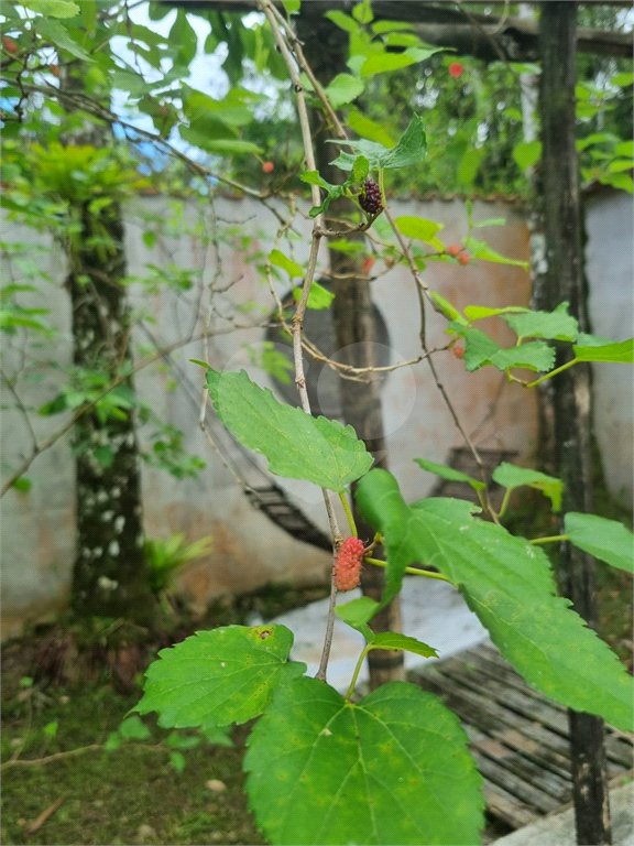 Chácara à venda com 4 quartos em Aguapeú, Itanhaém, SP