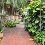 Terreno à venda em Vila Guilherme, São Paulo, SP