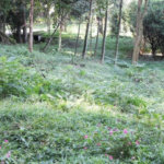 Terreno à venda no condomínio Chácara Flora, São Paulo - SP