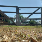 Sítio à venda com 2 suítes em Buru, Salto, SP
