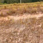 Terreno à venda no condomínio Mosaico Horizontes, Mogi das Cruzes - SP