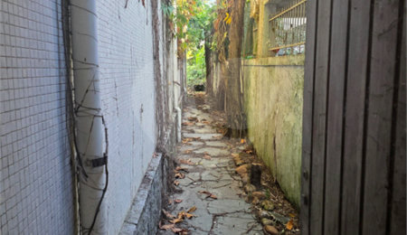 Casa à venda com 4 quartos, sendo 1 suíte, em Indianópolis, São Paulo, SP