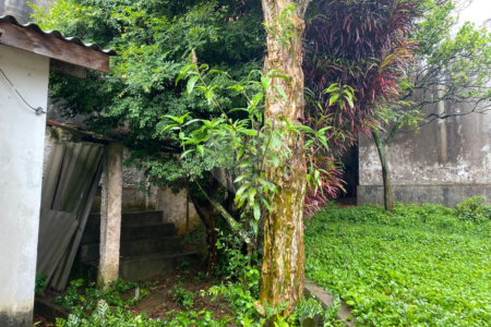Casa à venda com 3 quartos, sendo 1 suíte, em Indianópolis, São Paulo, SP