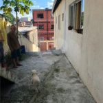 Terreno à venda com 2 quartos, sendo 1 suíte, em Casa Verde, São Paulo, SP