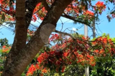 Casa à venda com 3 quartos, sendo 2 suítes, em Rasa, Armação dos Búzios, RJ