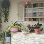 EXCELENTE PARA INVESTIMENTO E RENDA OU MORADIA!! JABAQUARA 03 CASAS E SALÃO