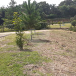 Chácara à venda com 4 quartos, sendo 1 suíte, em Vista Alegre, Vinhedo, SP