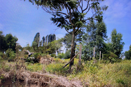Terreno à venda em Pouso Alegre, Mairinque, SP