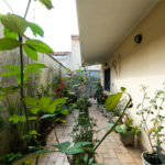 Casa a venda no Planalto Paulista, 2 suítes, 4 vagas, 230 m², quintal e localização privilegiada
