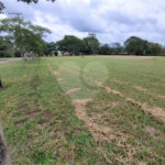 Loteamento Residencial no Condomínio Vila Pinhal do Broa