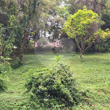 Terreno à venda em Marambaia, Vinhedo, SP