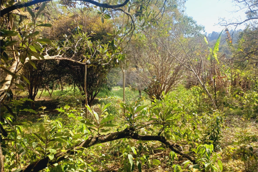 Terreno à venda em Luiz Fagundes, Mairiporã, SP