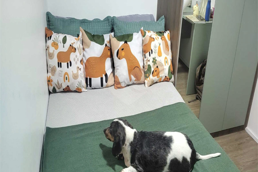 Apartamento à venda com 2 quartos em Santana, São Paulo, SP