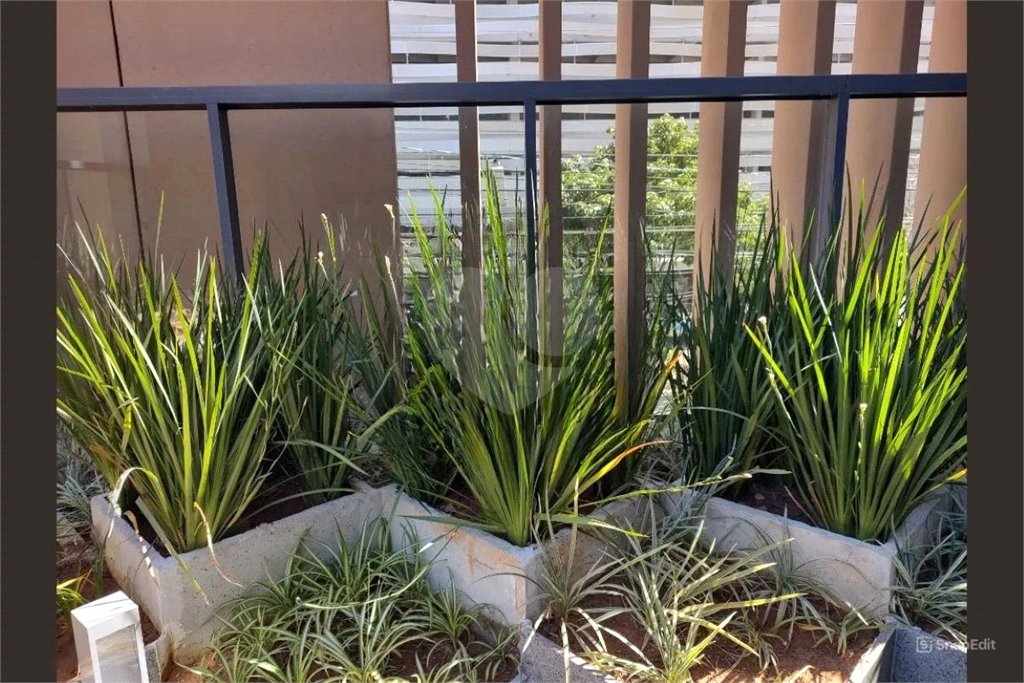 Apartamento à venda com 1 quarto em Brooklin Paulista, São Paulo, SP
