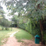 Apartamento à venda com 2 quartos em Lauzane Paulista, São Paulo, SP