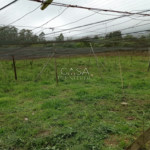 Sítio à venda com 2 quartos em Gramadão, São Miguel Arcanjo, SP