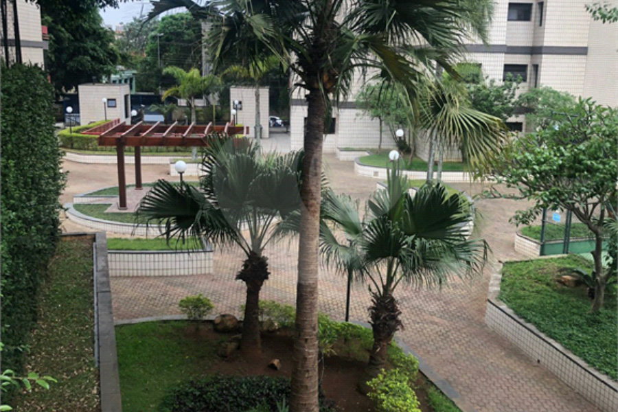 Apartamento à venda com 3 quartos, sendo 1 suíte, em Saúde, São Paulo, SP