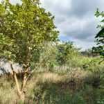 Terreno à venda em Morumbi, São Paulo, SP