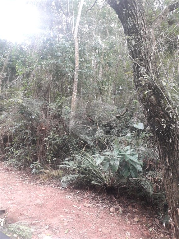 Terreno à venda em Suasalito, Mairiporã, SP