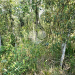Terreno à venda no condomínio Cantareira, Mairiporã - SP