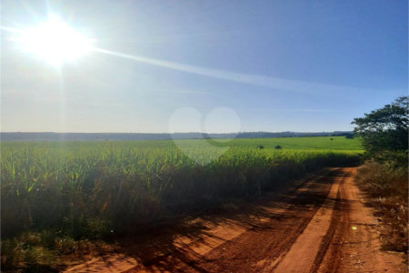 Fazenda em Ribeirão Bonito