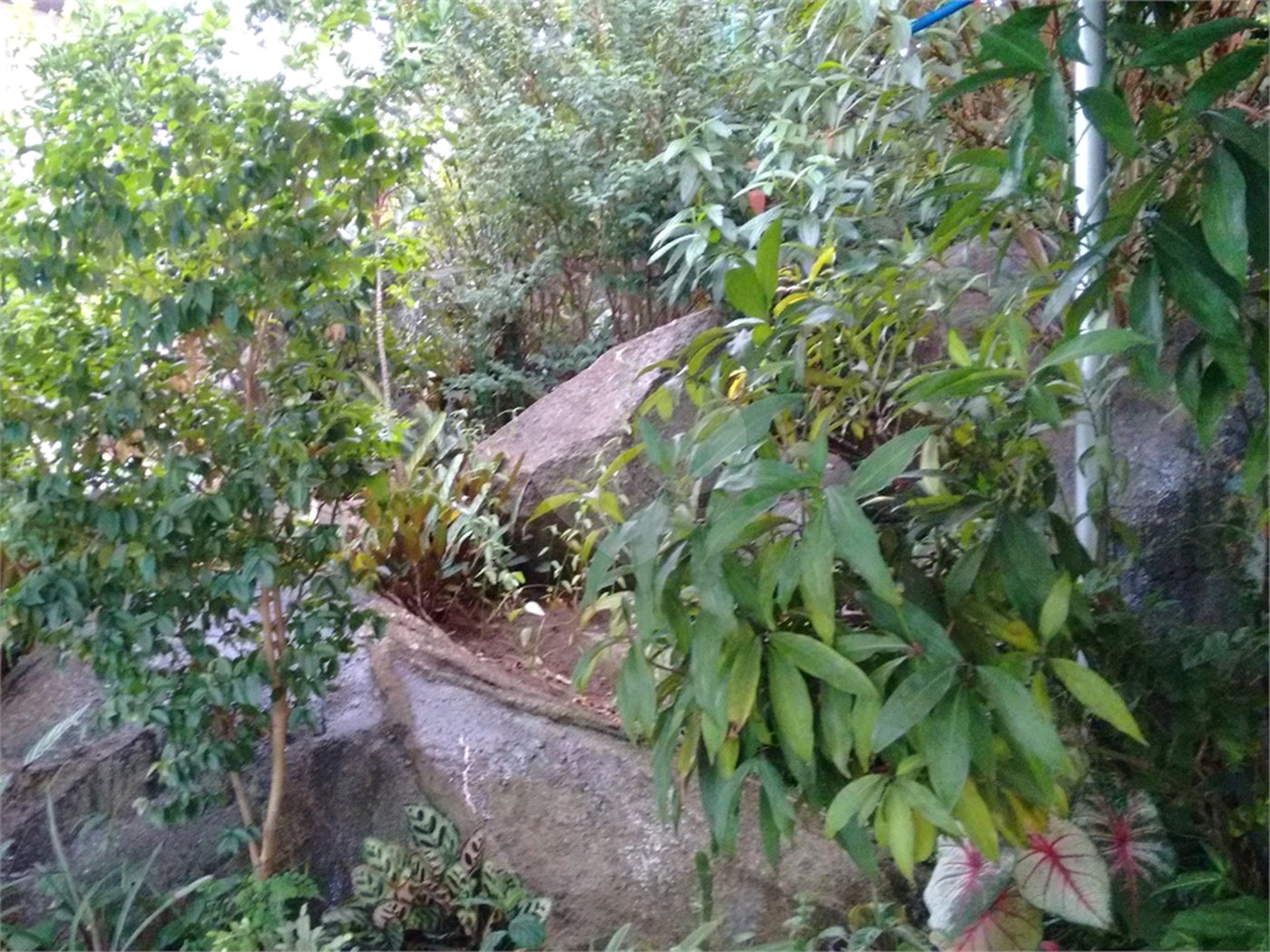 Casa Térrea à venda com 3 quartos, sendo 1 suíte, em Tucuruvi, São Paulo, SP