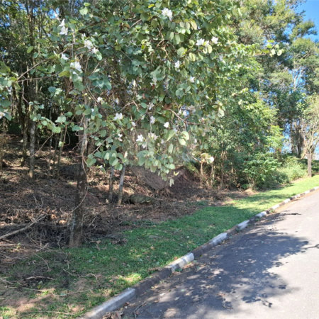 Terreno à venda em Jardim Peri, São Paulo, SP