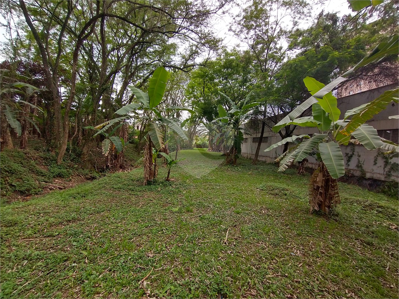 Terreno à venda em Jardim Bela Vista, Guarulhos, SP