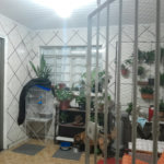 Casa à venda com 4 quartos em Vila Gustavo, São Paulo, SP
