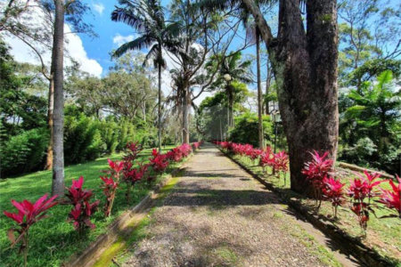 Chácara à venda com 1 suíte em Jardim São Francisco(zona Sul), São Paulo, SP