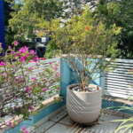 Sobrado à venda com 4 quartos, sendo 2 suítes,  em Vila Gilda, Santo André, SP