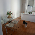Apartamento à venda com 2 quartos, sendo 1 suíte, em Vila Mazzei, São Paulo, SP