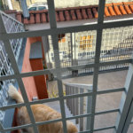 Sobrado à venda com 4 quartos, sendo 1 suíte,  em Jardim do Colégio (zona Norte), São Paulo, SP