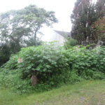 Terreno à venda no condomínio Loteamento Jardim entre Serras, São Paulo - SP