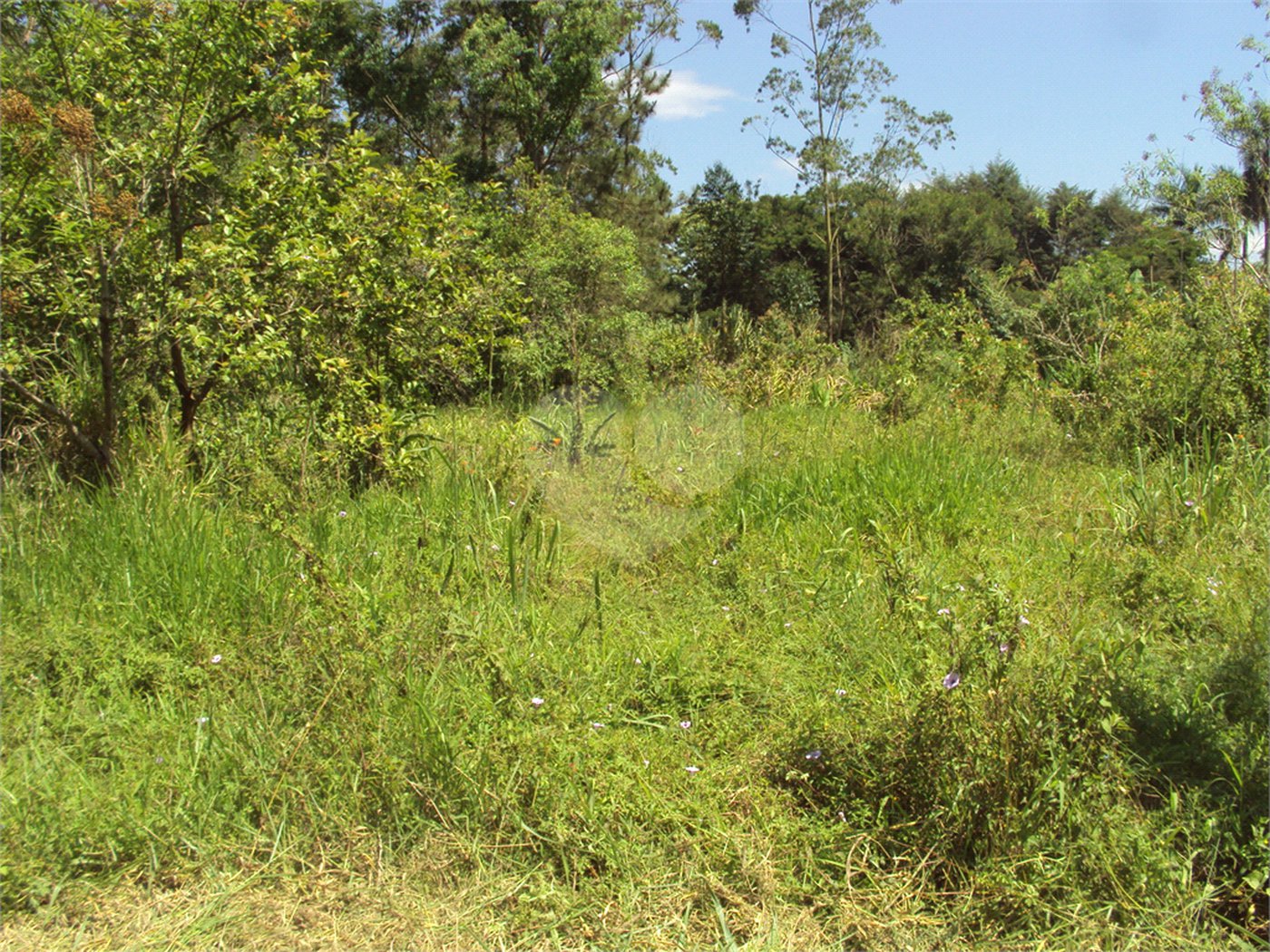Chácara à venda com 1 quarto em Cruz das Almas, Biritiba-mirim, SP