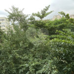 Apartamento à venda com 3 quartos em Tijuca, Rio de Janeiro, RJ
