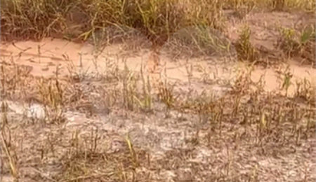 Terreno à venda no condomínio Mosaico Horizontes, Mogi das Cruzes - SP