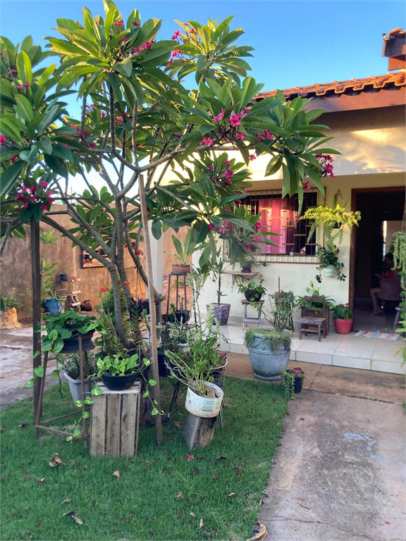 Casa à venda com 3 quartos em Parque dos Ipês I, Ponta Porã, MS