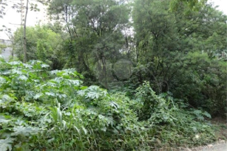 Terreno à venda em Vila Suzana, São Paulo, SP