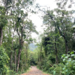 Terreno à venda no condomínio Sausalito, Mairiporã - SP
