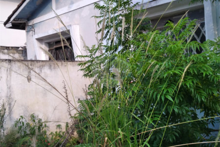 Terreno à venda em Vila Nivi, São Paulo, SP