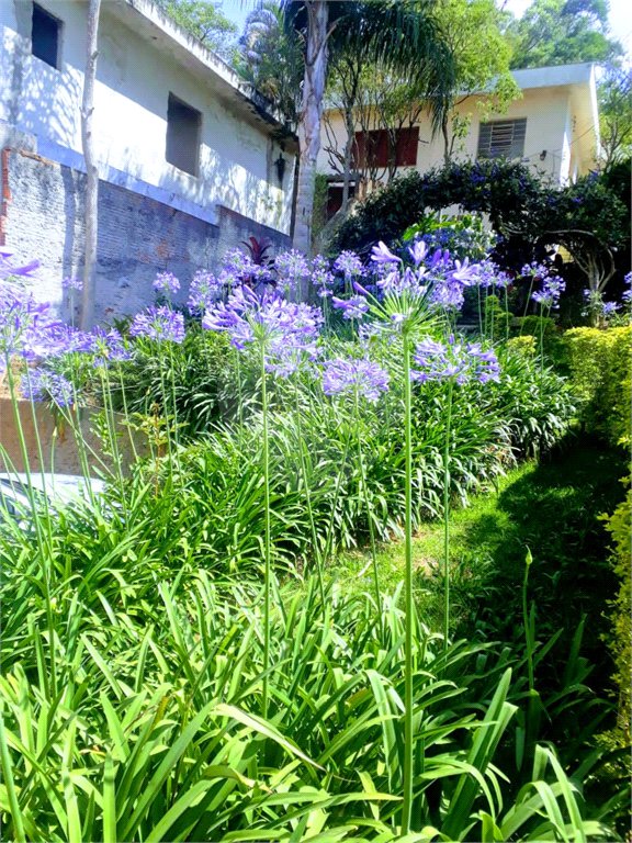 Casa Térrea à venda com 3 quartos em Horto Florestal, São Paulo, SP