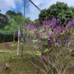 Terreno à venda em Alpes D'ouro, Bom Jesus dos Perdões, SP