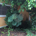 Casa à venda com 3 quartos, sendo 1 suíte, em Vila Vitório Mazzei, São Paulo, SP