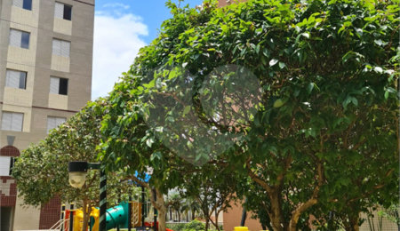 Apartamento à venda com 3 quartos, sendo 1 suíte,  em Cambuci, São Paulo, SP