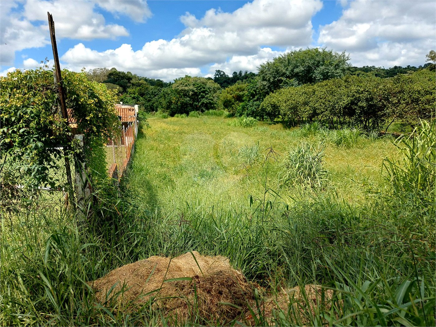 Terreno à venda em Abadia, Louveira, SP