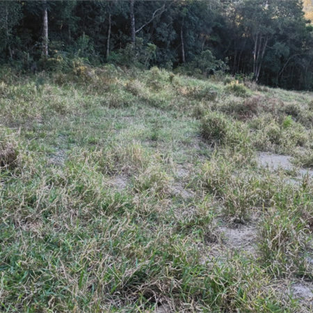 Terreno à venda em Vila Darcy Penteado (mailasqui), São Roque, SP