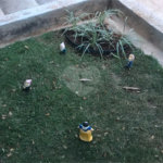 Chácara à venda com 3 quartos, sendo 2 suítes,  em Jardim Mirantes de Ipanema, Araçoiaba da Serra, SP